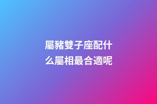 屬豬雙子座配什么屬相最合適呢-第1張-星座運勢-玄機派