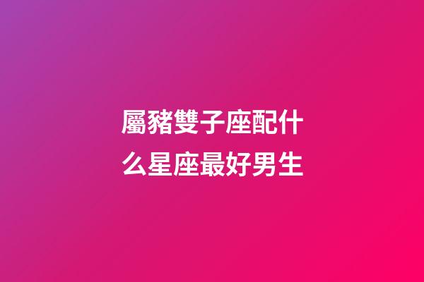 屬豬雙子座配什么星座最好男生-第1張-星座運勢-玄機派