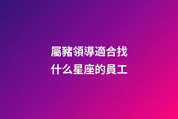 屬豬領導適合找什么星座的員工