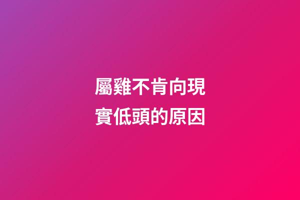 屬雞不肯向現實低頭的原因
