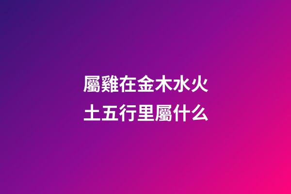 屬雞在金木水火土五行里屬什么