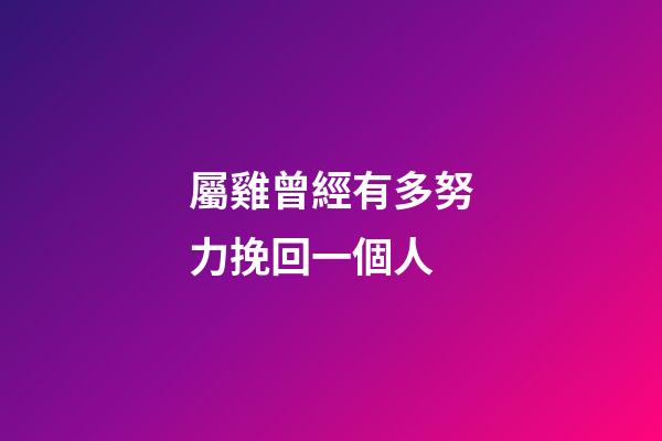 屬雞曾經有多努力挽回一個人
