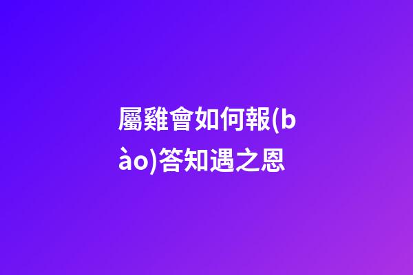 屬雞會如何報(bào)答知遇之恩