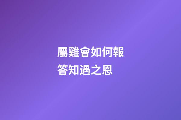 屬雞會如何報答知遇之恩