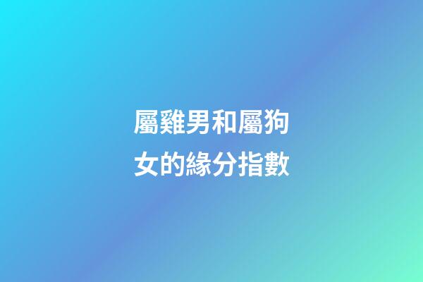 屬雞男和屬狗女的緣分指數