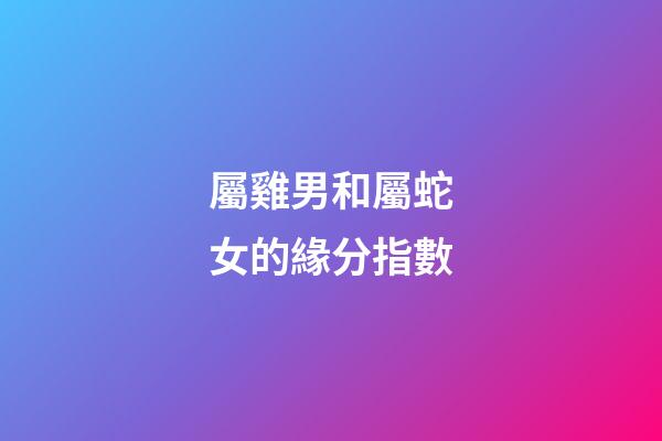 屬雞男和屬蛇女的緣分指數