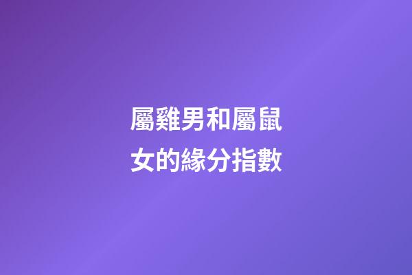 屬雞男和屬鼠女的緣分指數