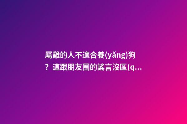 屬雞的人不適合養(yǎng)狗？這跟朋友圈的謠言沒區(qū)別！