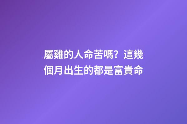 屬雞的人命苦嗎？這幾個月出生的都是富貴命