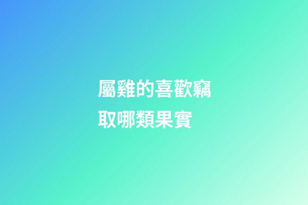 屬雞的喜歡竊取哪類果實