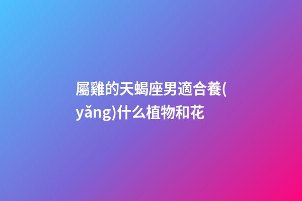 屬雞的天蝎座男適合養(yǎng)什么植物和花