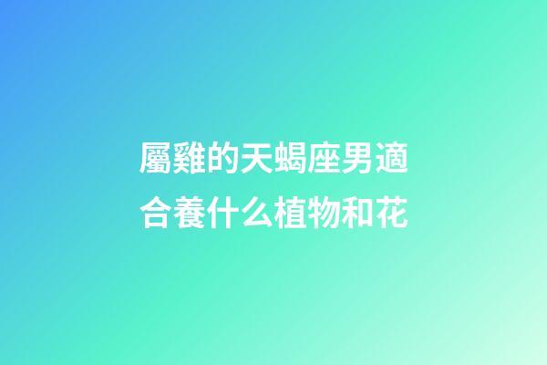 屬雞的天蝎座男適合養什么植物和花-第1張-星座運勢-玄機派