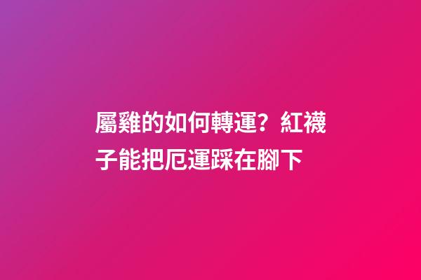 屬雞的如何轉運？紅襪子能把厄運踩在腳下