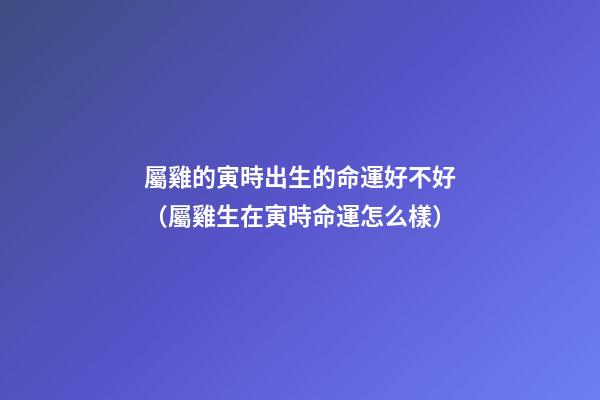 屬雞的寅時出生的命運好不好（屬雞生在寅時命運怎么樣）
