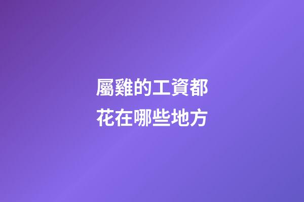 屬雞的工資都花在哪些地方