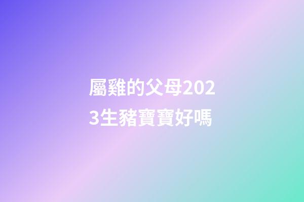 屬雞的父母2023生豬寶寶好嗎