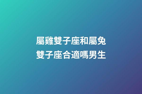 屬雞雙子座和屬兔雙子座合適嗎男生-第1張-星座運勢-玄機派