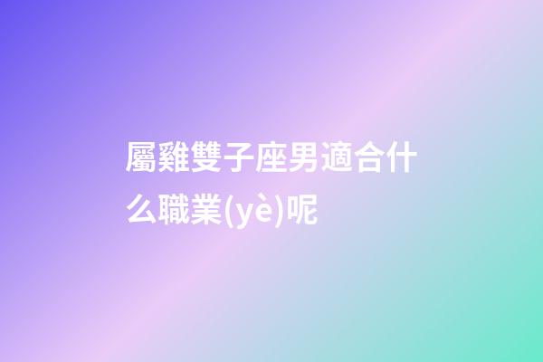 屬雞雙子座男適合什么職業(yè)呢-第1張-星座運(yùn)勢-玄機(jī)派