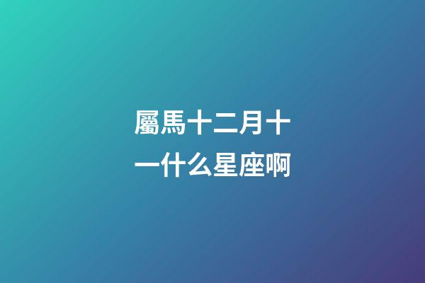 屬馬十二月十一什么星座啊-第1張-星座運勢-玄機派