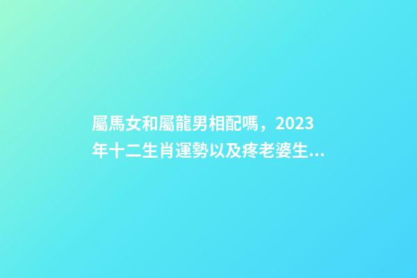 屬馬女和屬龍男相配嗎，2023年十二生肖運勢以及疼老婆生肖和旺夫生肖大全