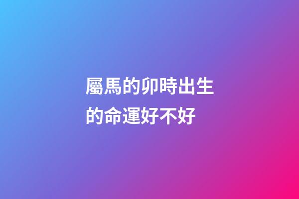 屬馬的卯時出生的命運好不好