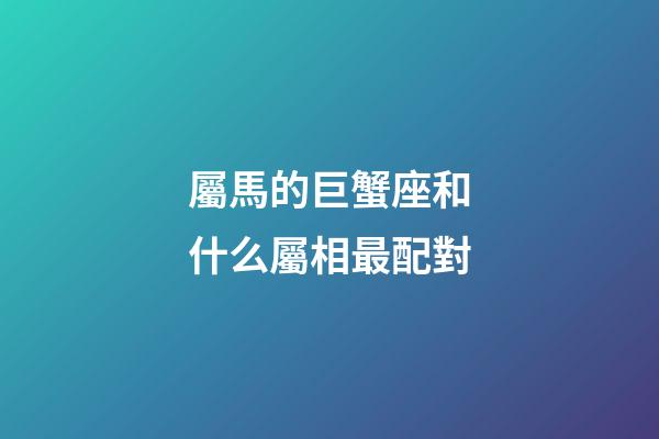 屬馬的巨蟹座和什么屬相最配對-第1張-星座運勢-玄機派