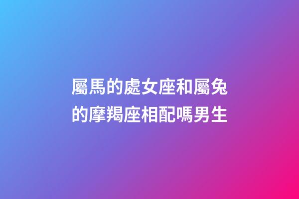 屬馬的處女座和屬兔的摩羯座相配嗎男生-第1張-星座運勢-玄機派