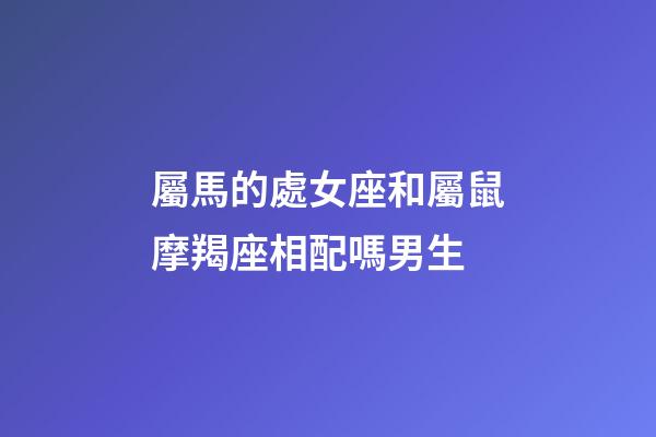 屬馬的處女座和屬鼠摩羯座相配嗎男生-第1張-星座運勢-玄機派