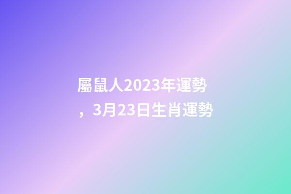 屬鼠人2023年運勢，3月23日生肖運勢-第1張-觀點-玄機派