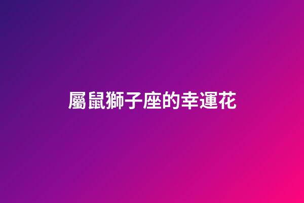 屬鼠獅子座的幸運花