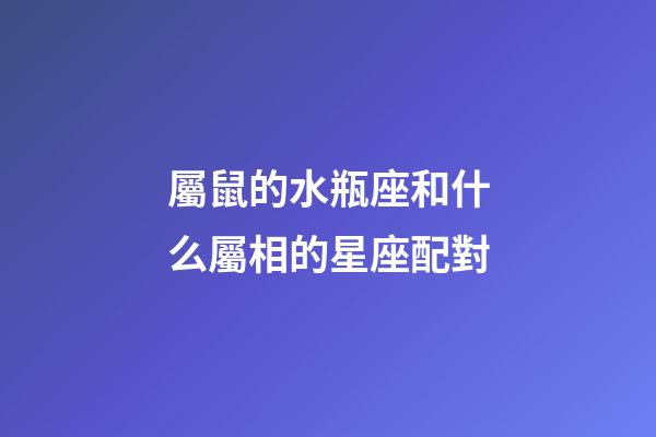屬鼠的水瓶座和什么屬相的星座配對-第1張-星座運勢-玄機派