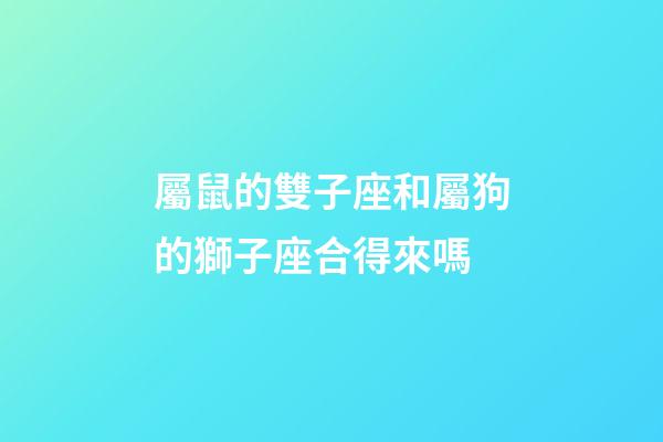 屬鼠的雙子座和屬狗的獅子座合得來嗎-第1張-星座運(yùn)勢-玄機(jī)派