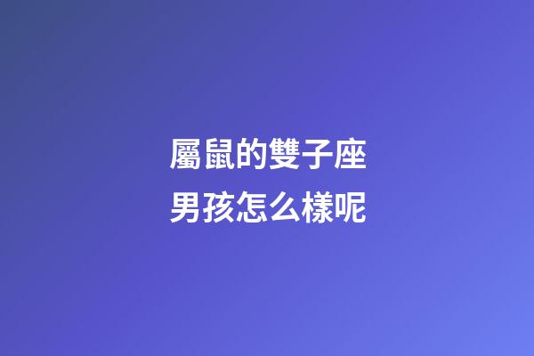 屬鼠的雙子座男孩怎么樣呢-第1張-星座運(yùn)勢-玄機(jī)派