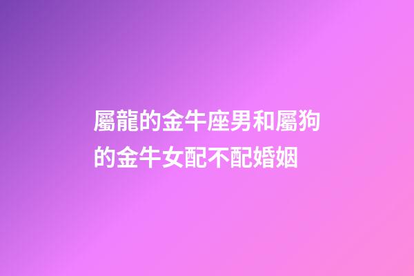 屬龍的金牛座男和屬狗的金牛女配不配婚姻-第1張-星座運勢-玄機派