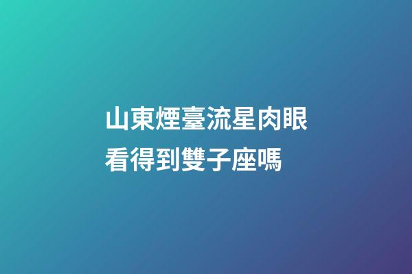 山東煙臺流星肉眼看得到雙子座嗎