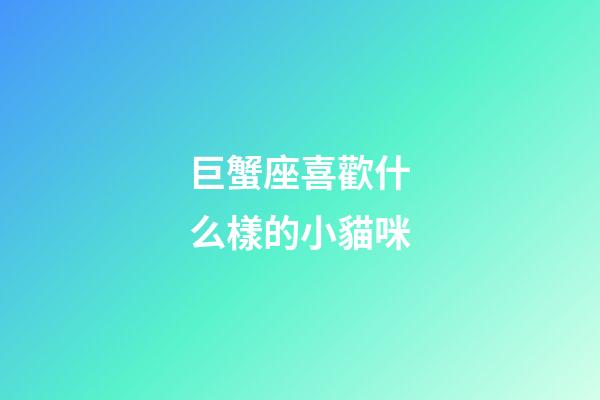 巨蟹座喜歡什么樣的小貓咪