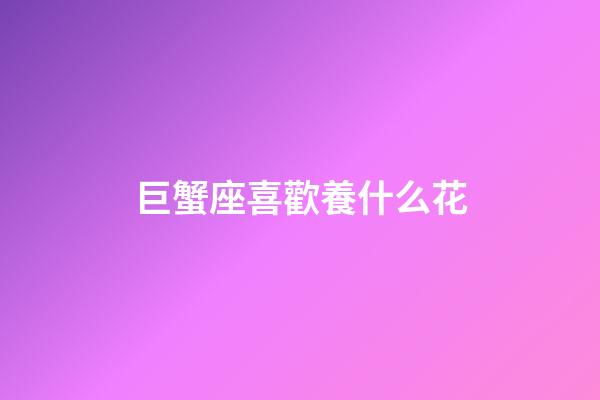巨蟹座喜歡養什么花