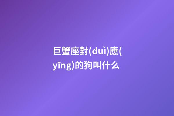 巨蟹座對(duì)應(yīng)的狗叫什么