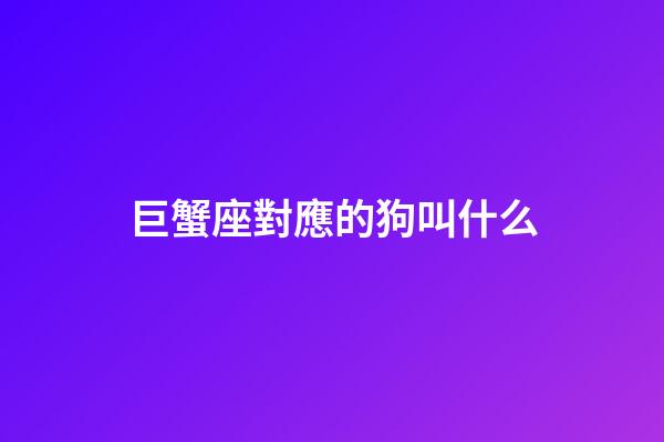 巨蟹座對應的狗叫什么
