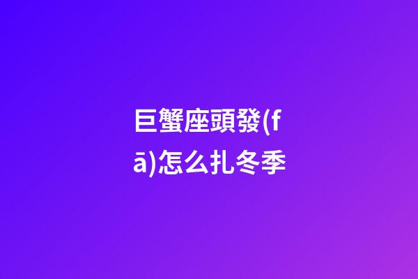 巨蟹座頭發(fā)怎么扎冬季-第1張-星座運勢-玄機派