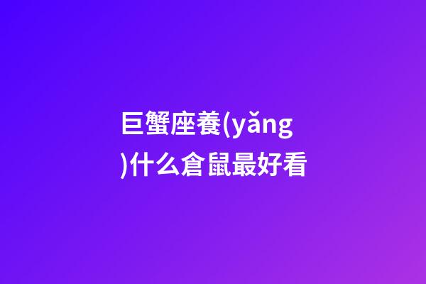 巨蟹座養(yǎng)什么倉鼠最好看-第1張-星座運勢-玄機派