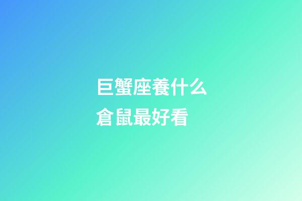 巨蟹座養什么倉鼠最好看
