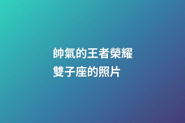 帥氣的王者榮耀雙子座的照片-第1張-星座運勢-玄機派