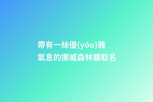 帶有一絲優(yōu)雅氣息的挪威森林貓取名