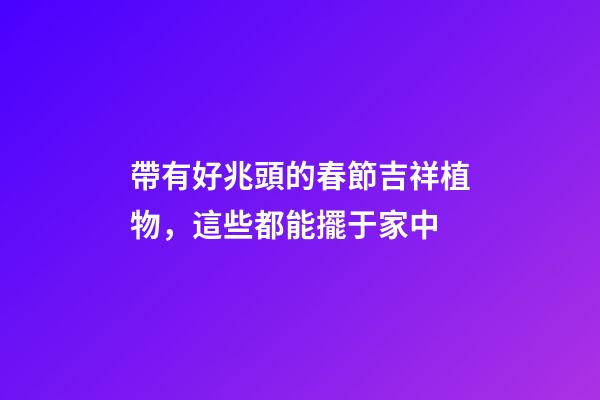 帶有好兆頭的春節吉祥植物，這些都能擺于家中