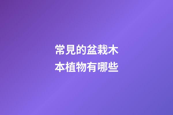 常見的盆栽木本植物有哪些