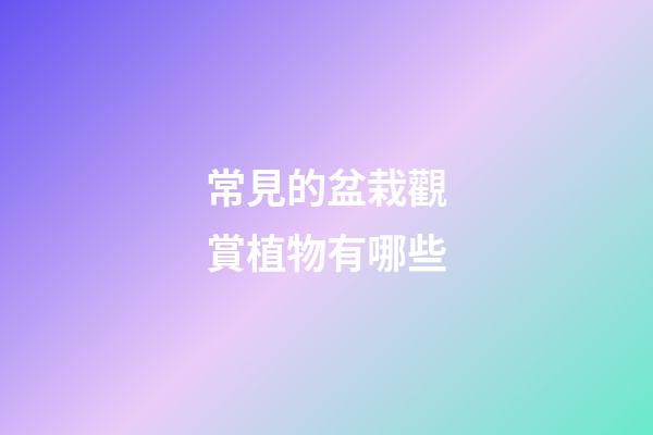 常見的盆栽觀賞植物有哪些