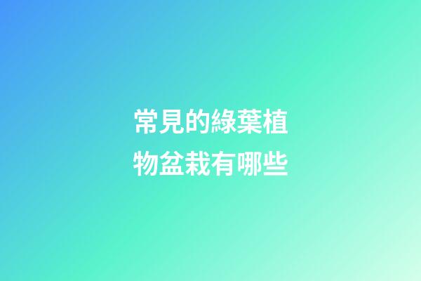 常見的綠葉植物盆栽有哪些