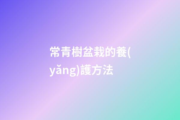常青樹盆栽的養(yǎng)護方法