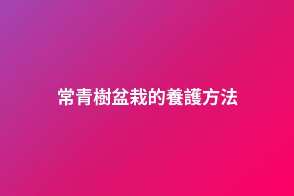 常青樹盆栽的養護方法